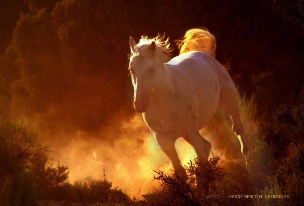 Chief runs with the wind and fiery sunlight, By Jeanne Bench Nations 