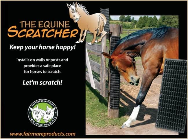 6 equine_scratcher