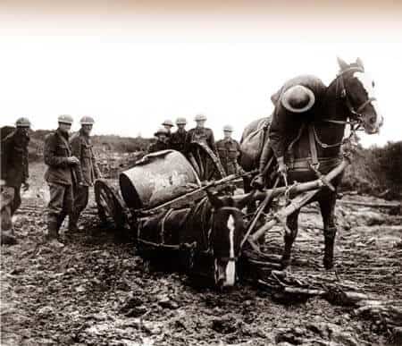 Horses towing a water container stuck in mud. Image source: Simon Butler