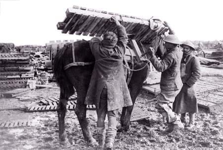 Loading duck boards onto a mule. Image source: Simon Butler