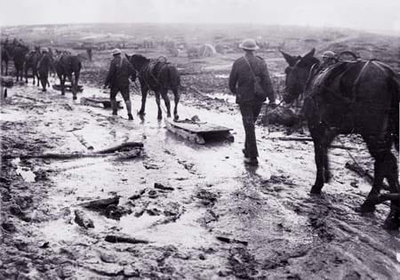 Towing sledges through the mud in France. Image source: Simon Butler