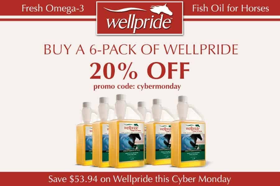 h2 Well Pride_Cyber Monday Sale 2015