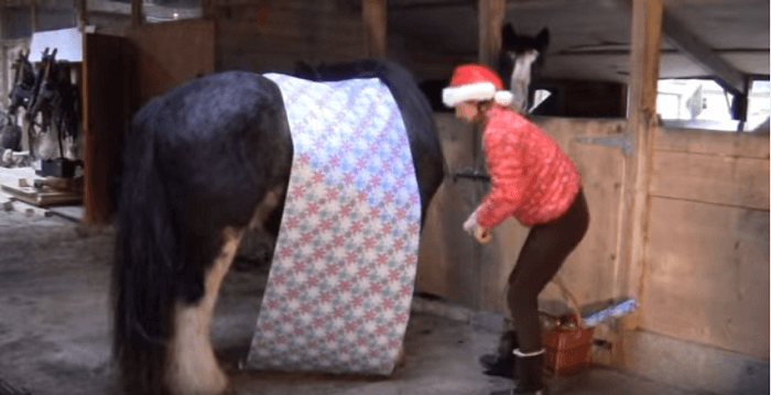 horsewrapping1