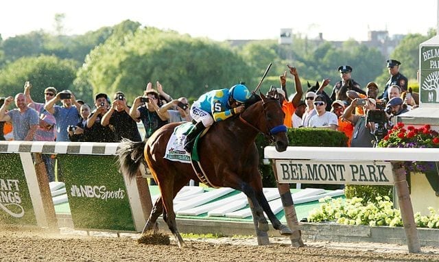"American Pharoah wins 2015 Belmont Stakes" by Mike Lizzi from Nassau County , USA - American Pharoah - 2015 Belmont Stakes. Licensed under CC BY-SA 2.0 via Commons 