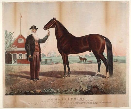 Depiction of Hambeltonian 10,  who sired Black Allan, the foundation stallion for the TWH. Image source: Eno, Henry C. - National Museum of Natural History wikimedia 
