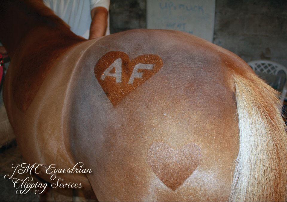 Image source: Melody Harmes / JMC Equestrian Custom Clipping