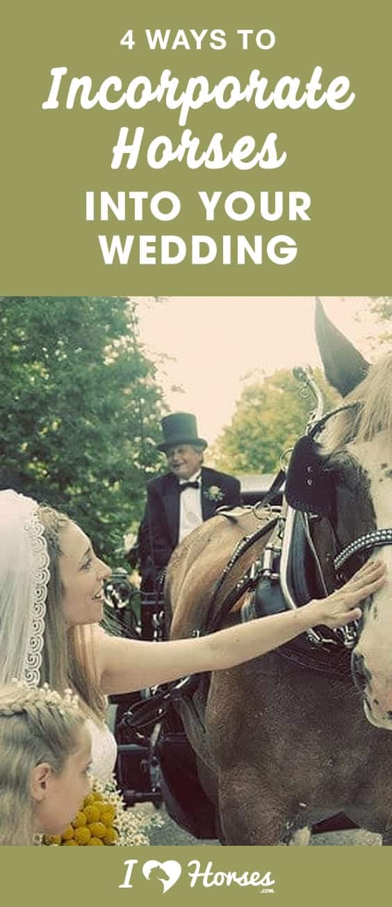 horses in your wedding