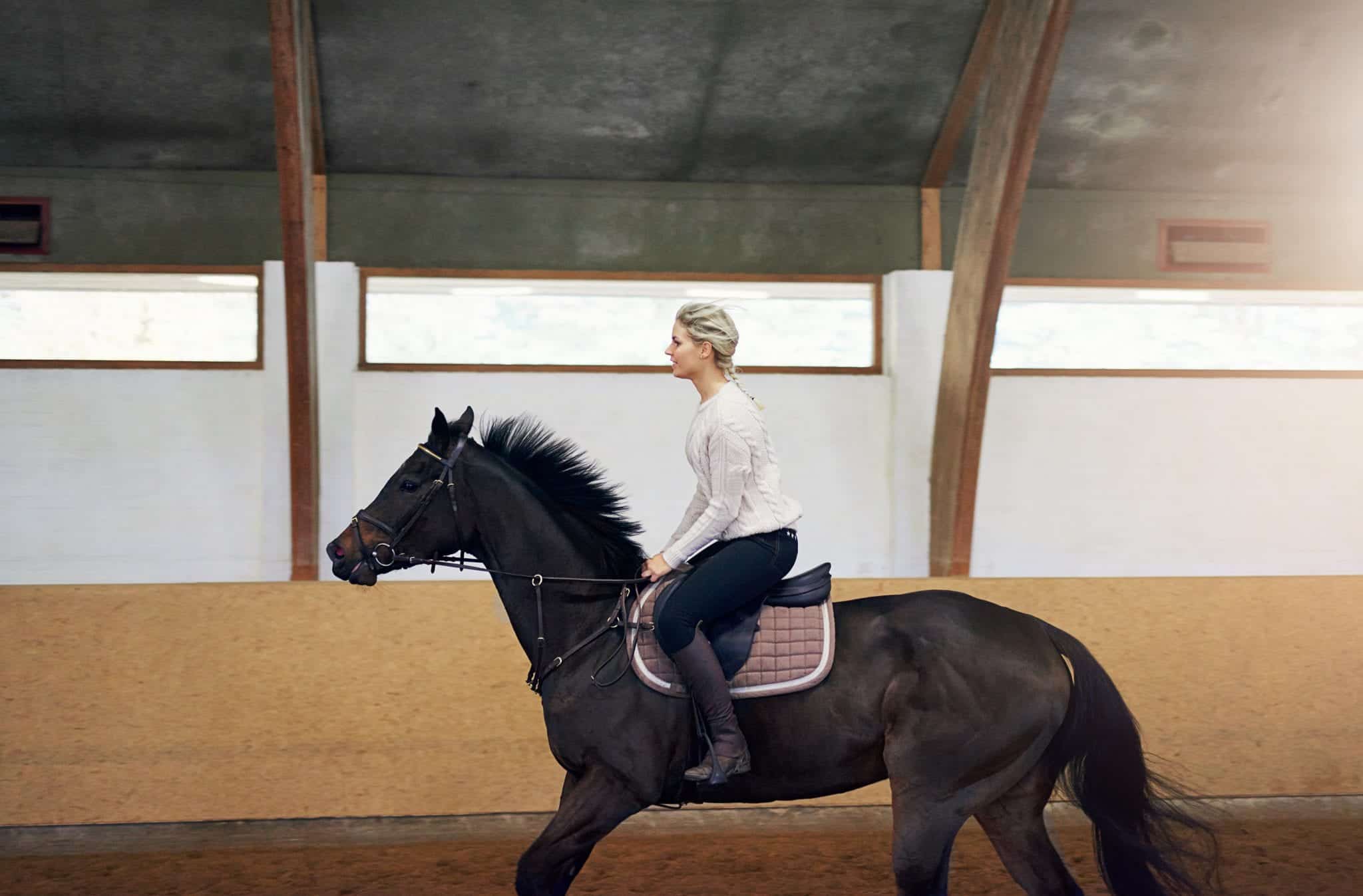 therapeutic horseback riding