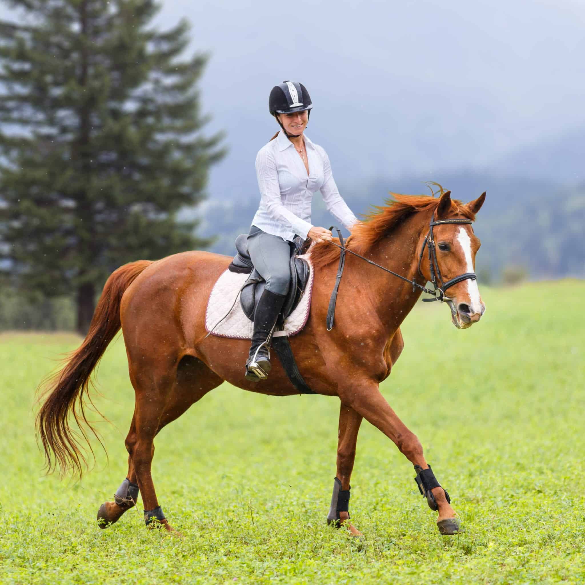 Young woman riding sorrel horse on green mountain meadow. Equestrian activity background