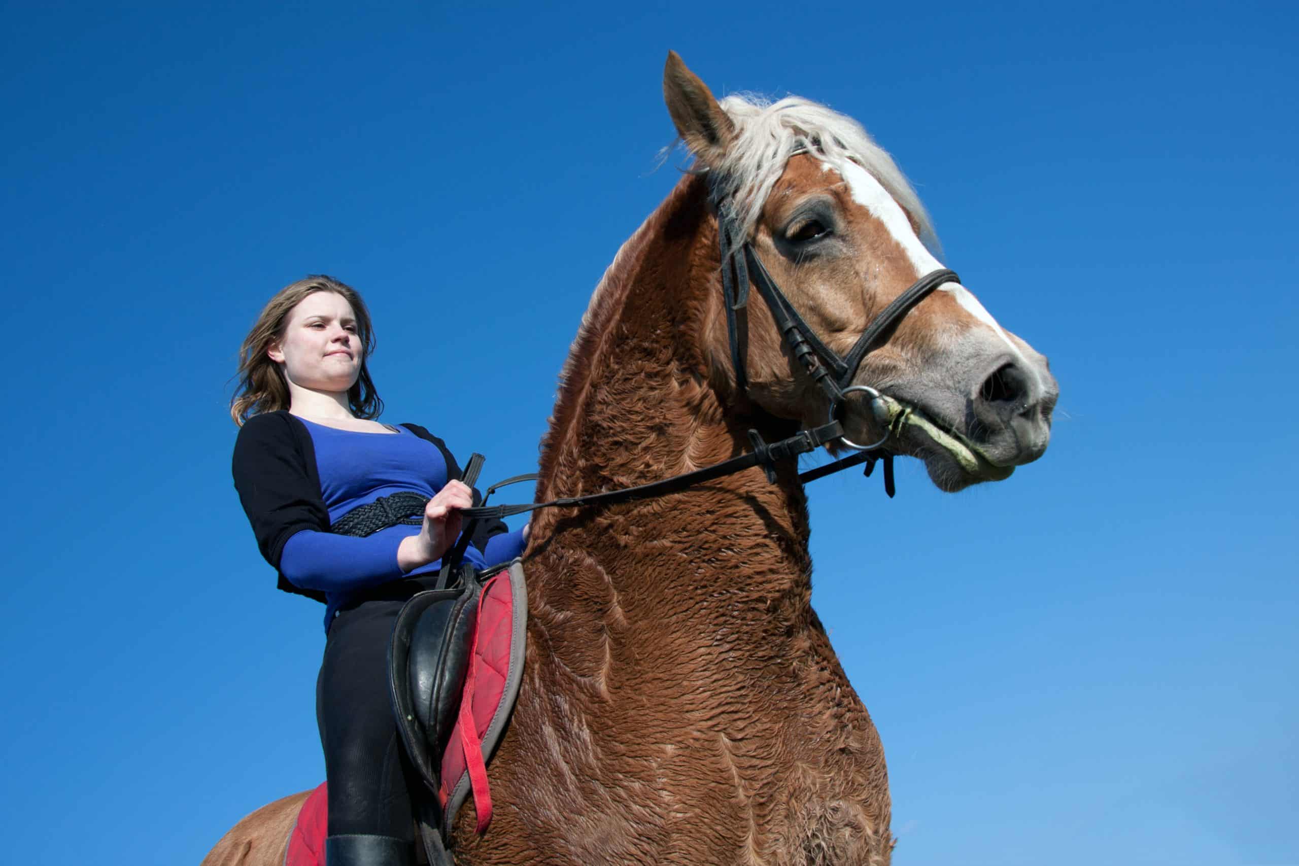 happy horse riding