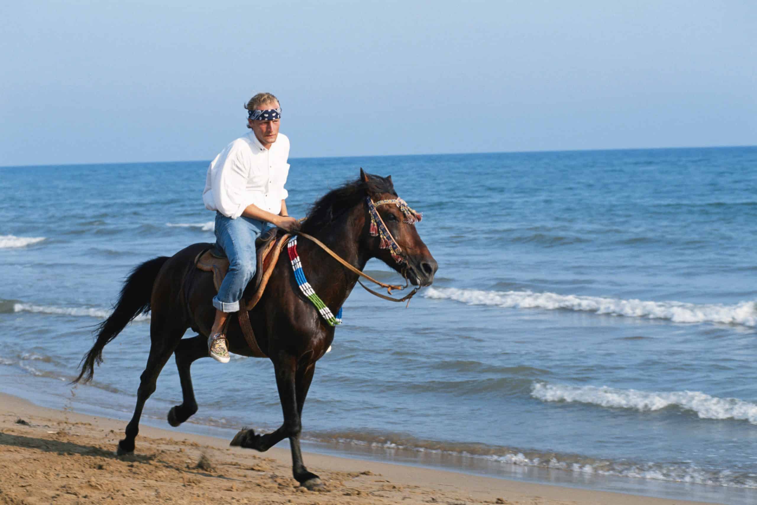 Man riding equine along beach