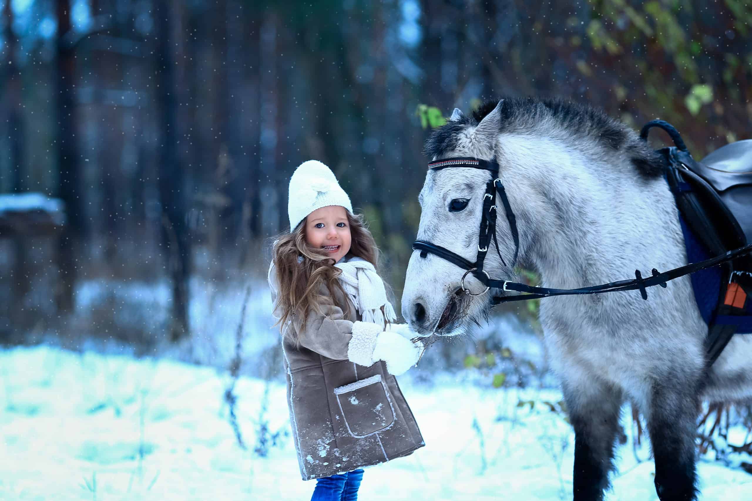 little girl feeding little horse pony winter