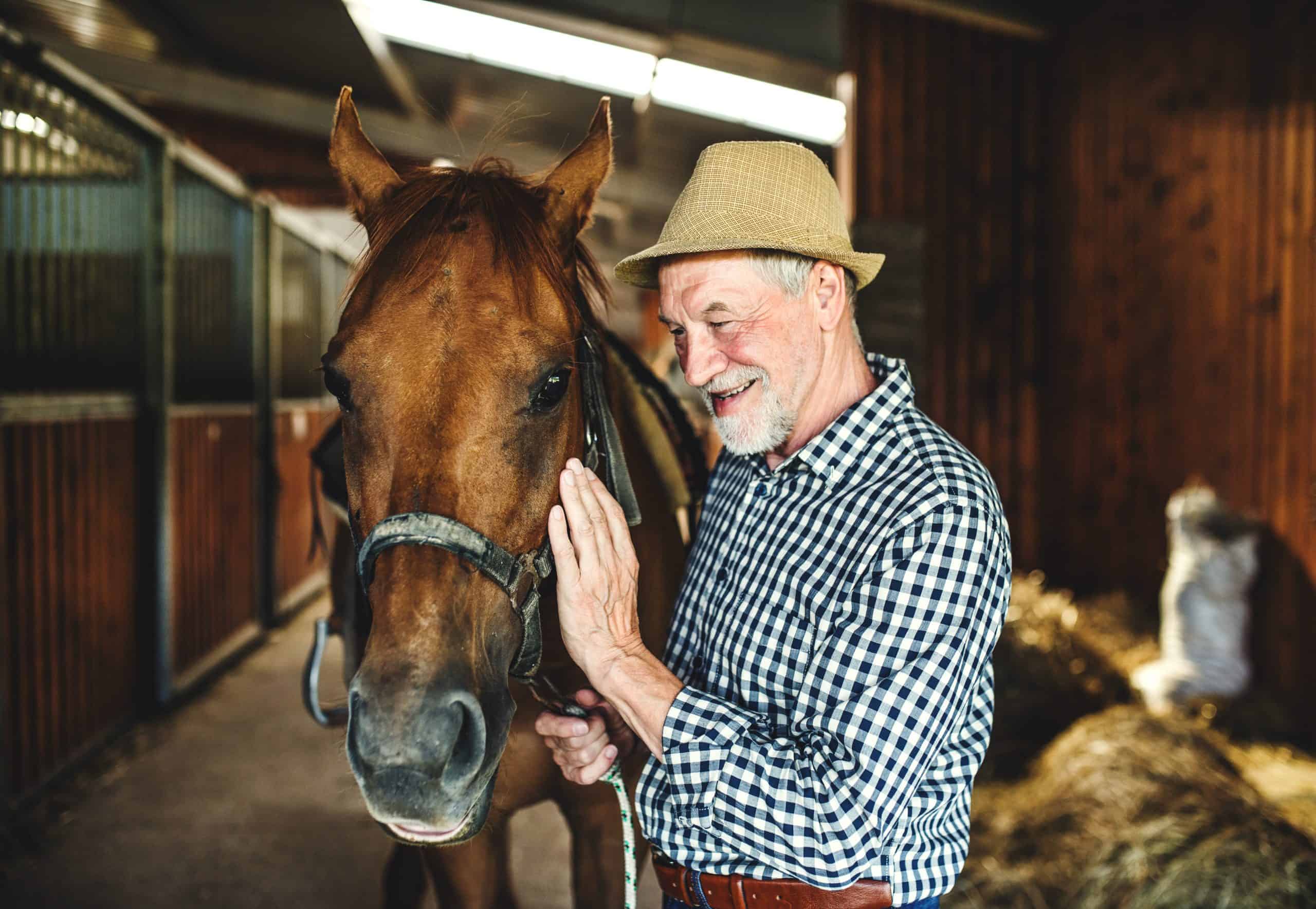 A happy senior man with a hat standing close to a horse in a stable, holding it. trust