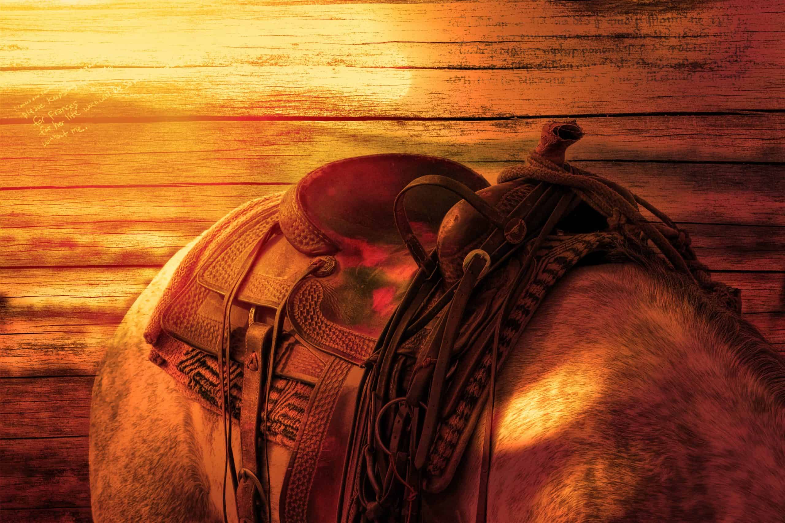 rown Leather Horse Saddle