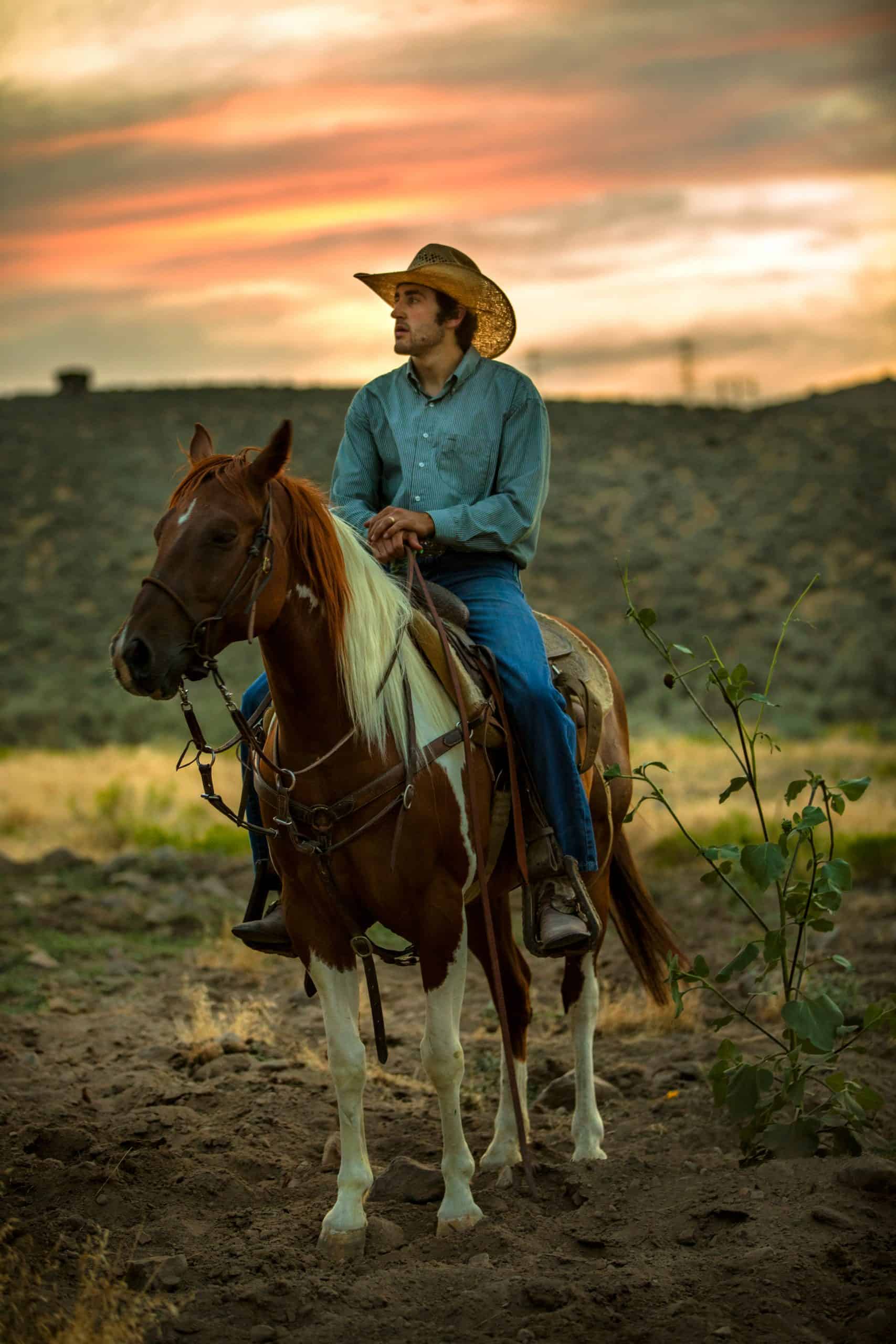 A cowboy sits astride his horse at sunset.