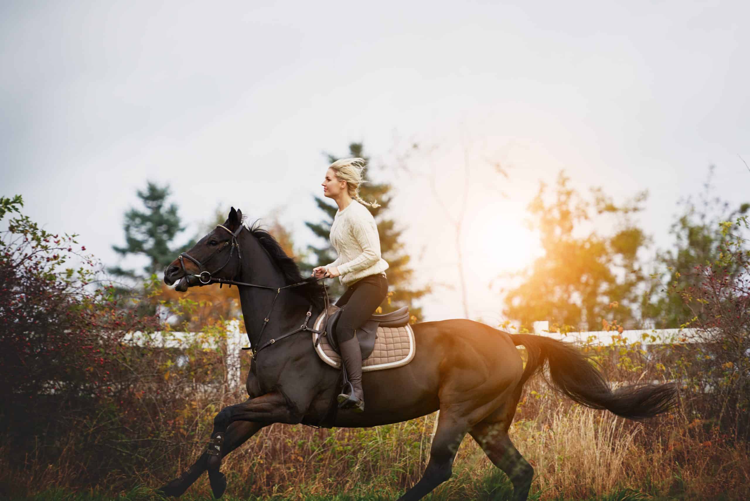 Young woman in riding gear galloping her chestnut horse through a field in the countryside in autumn