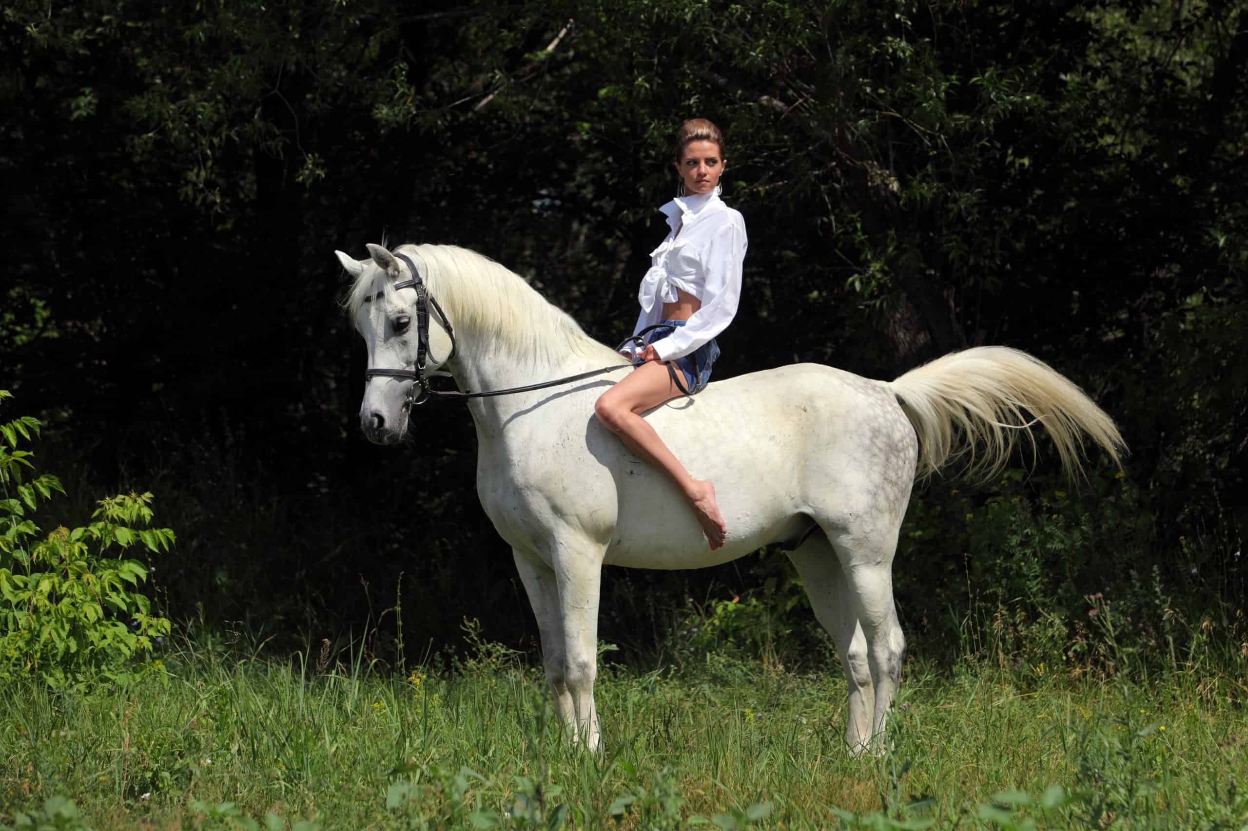 Young attractive equestrian woman horseback riding