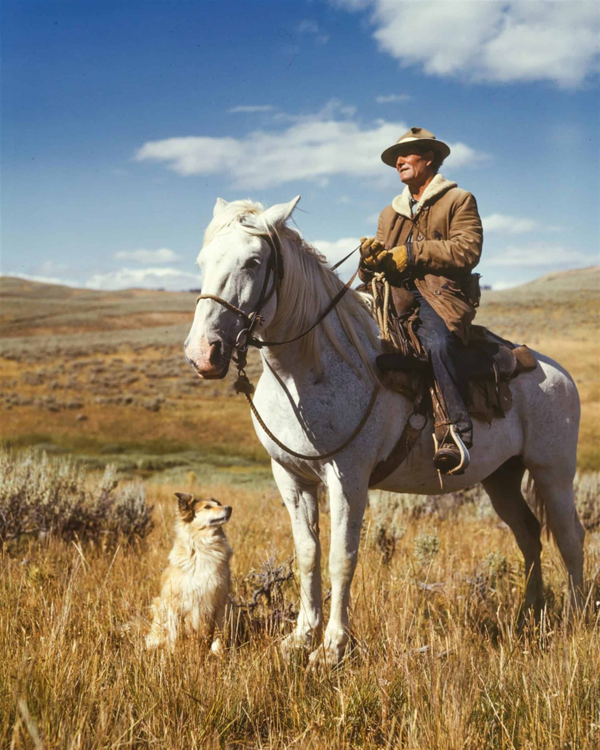 Canva - Farmer Riding a Horse with a Dog