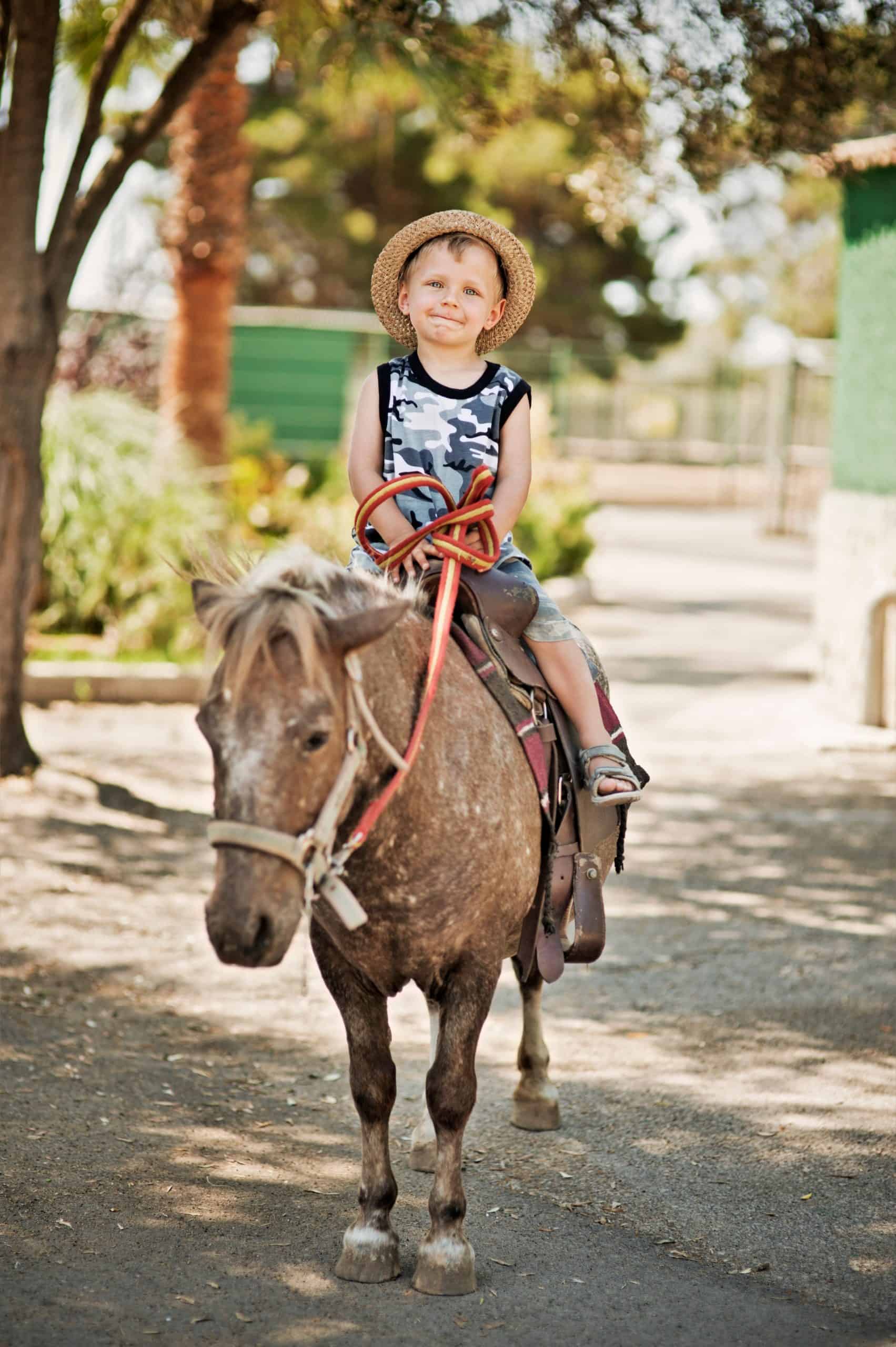 Portrait of a happy little boy riding a equine.