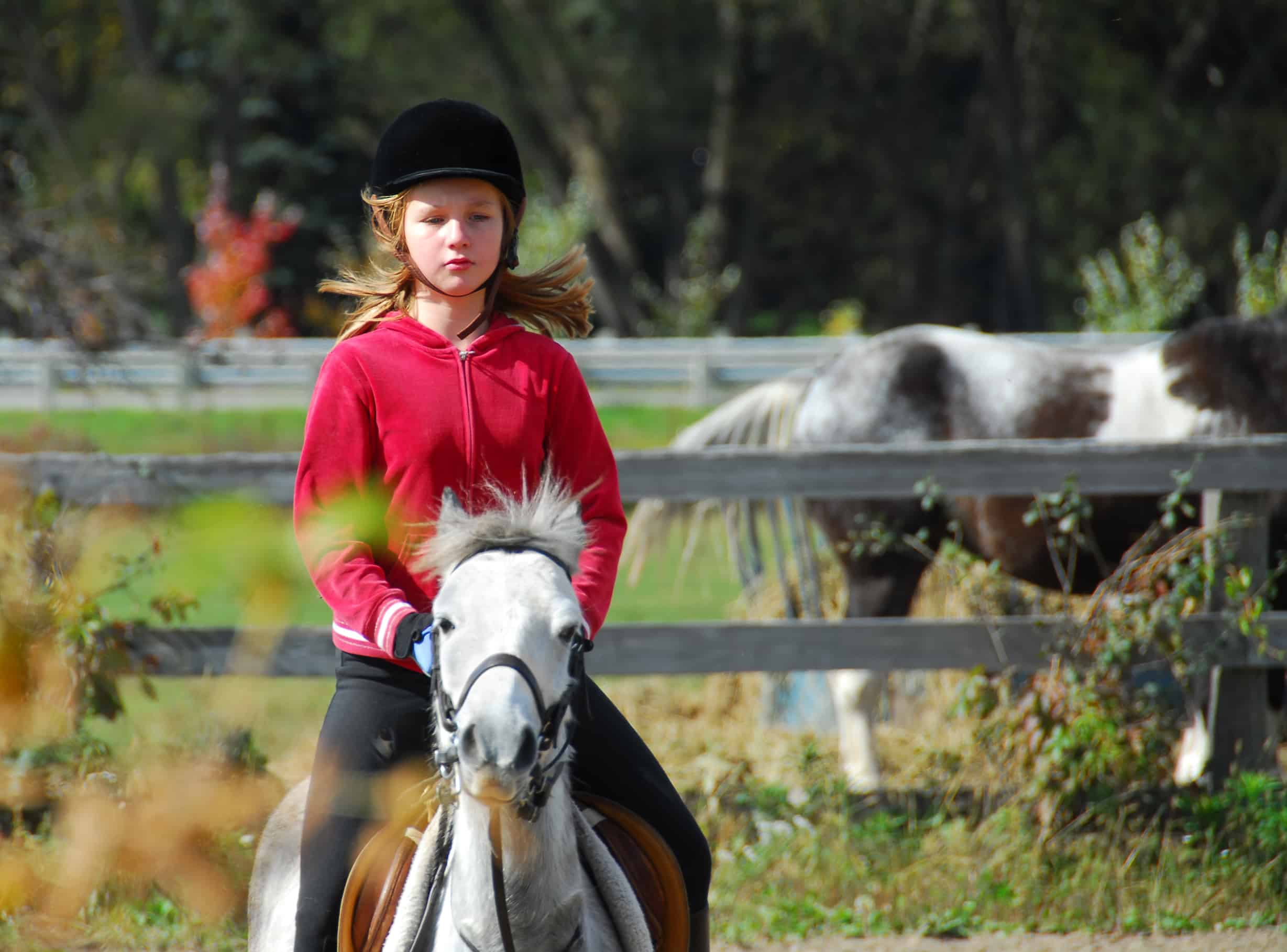 Young girl riding a white equine at countryside