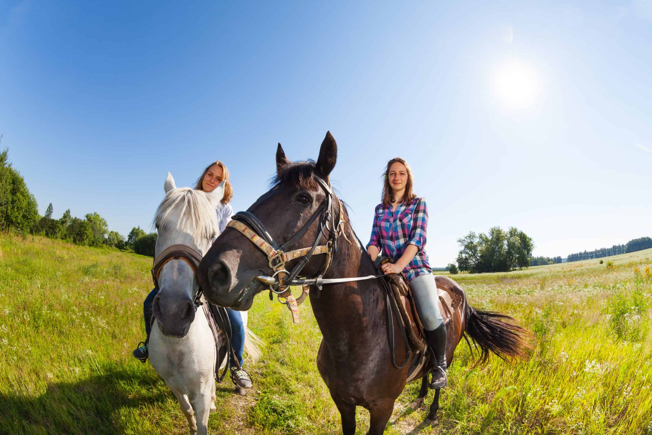 Two female horseback riders mounted on their purebred horses at summer field
