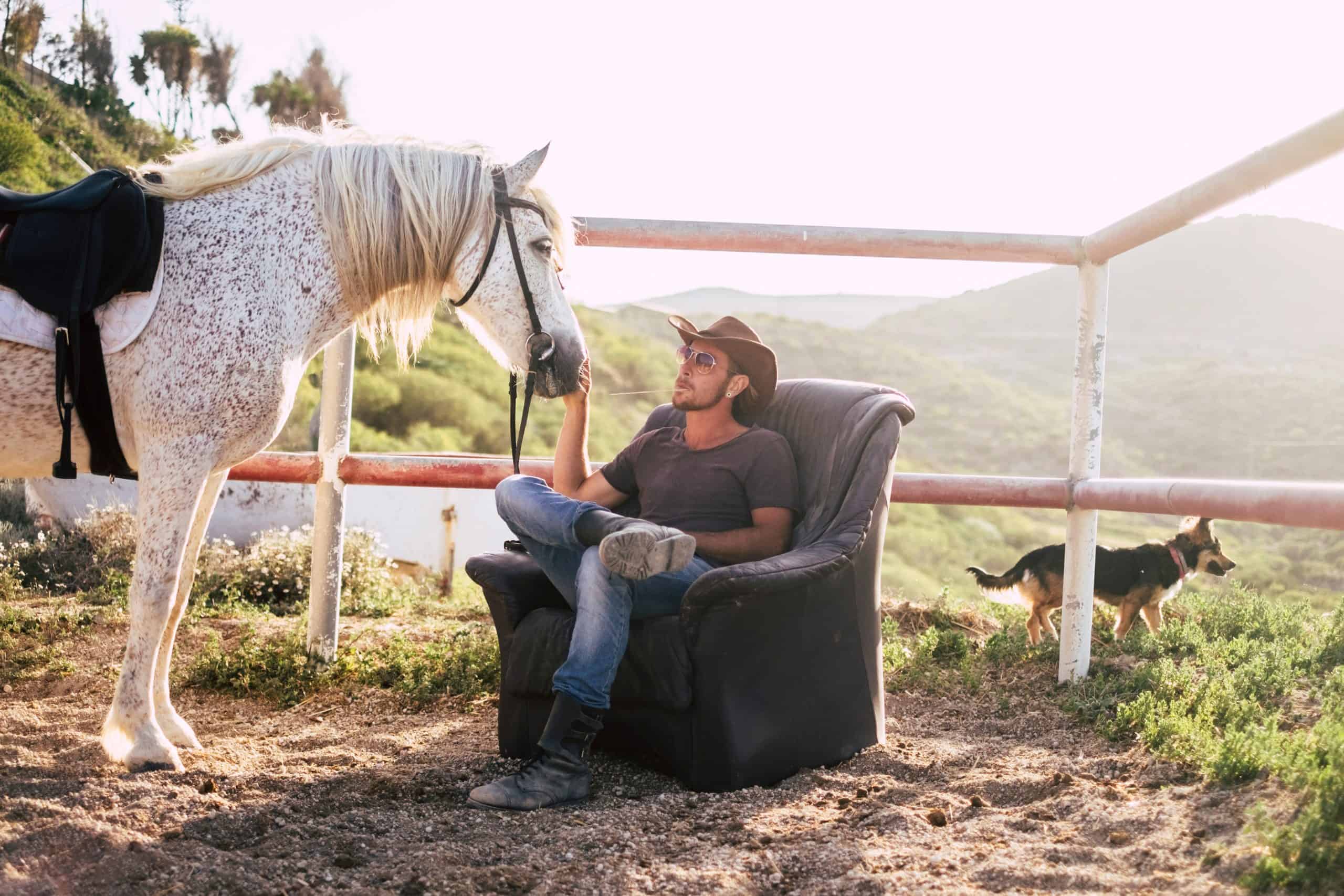 caucasian man enjoy his horse resting on a seats outdoor in the countryside. alternative lifestyle in contact with animals and nature. dog in the background