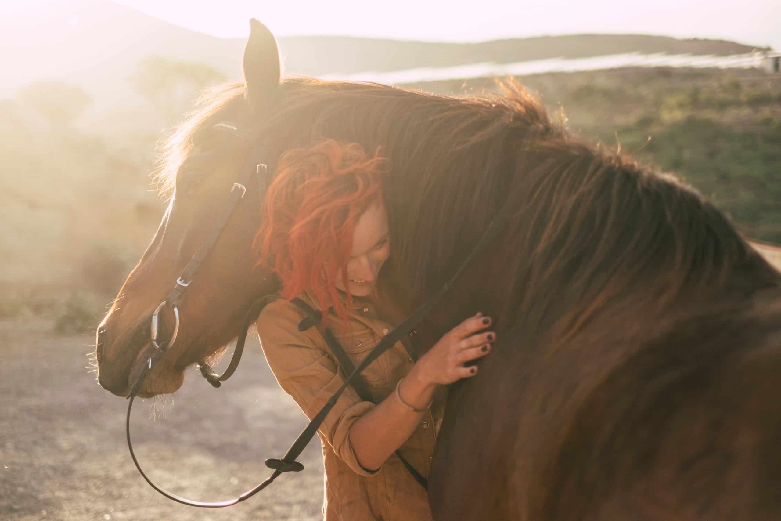 red hair beautiful caucasian woman hug with love his best friends horse under the sunset outdoor in backlight. friendship and relationship animals therapy concept and alternative lifestyle