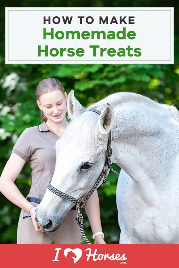 How To Make Your Own Homemade Horse Treats