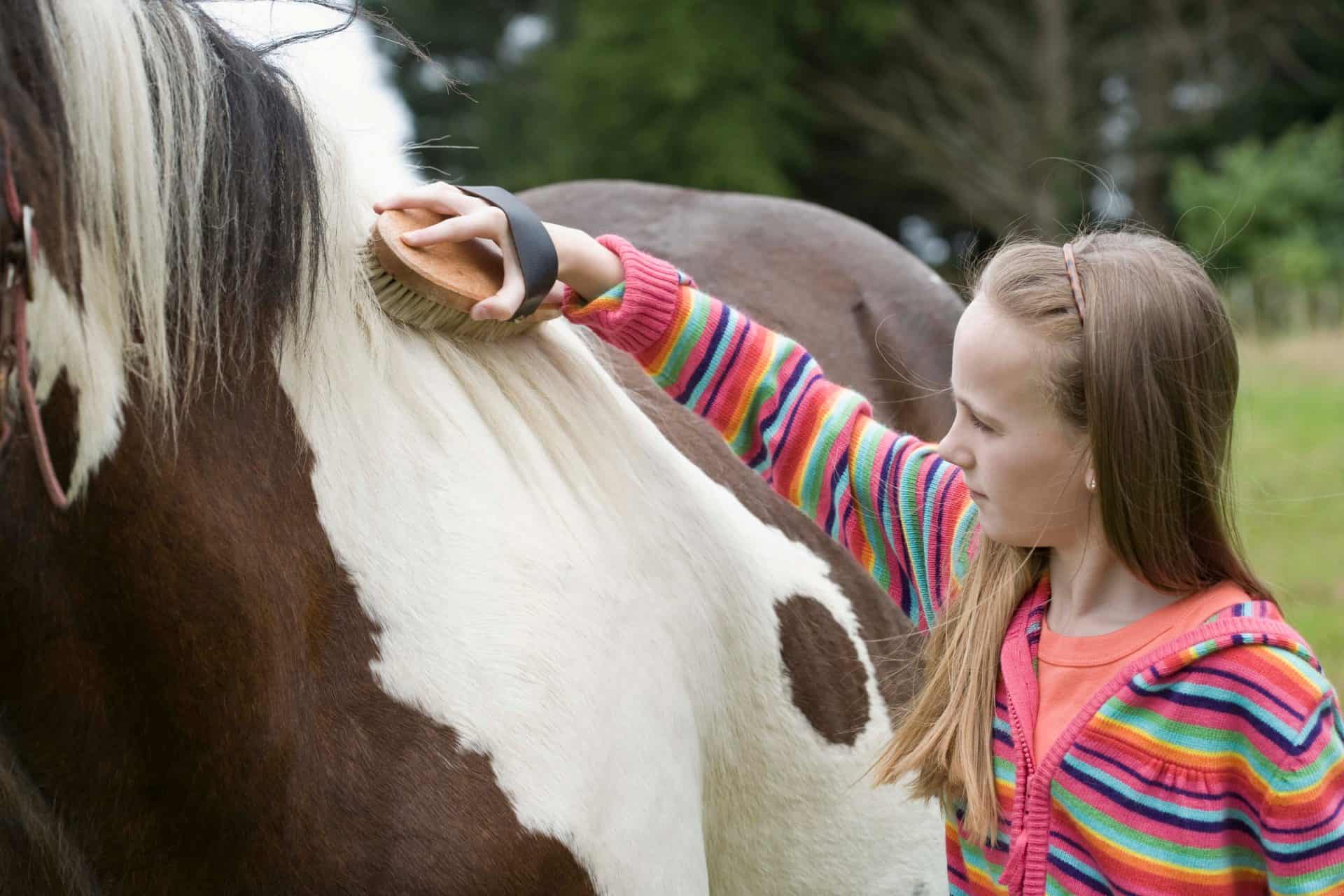 7 Horse Grooming Secrets You Should Know