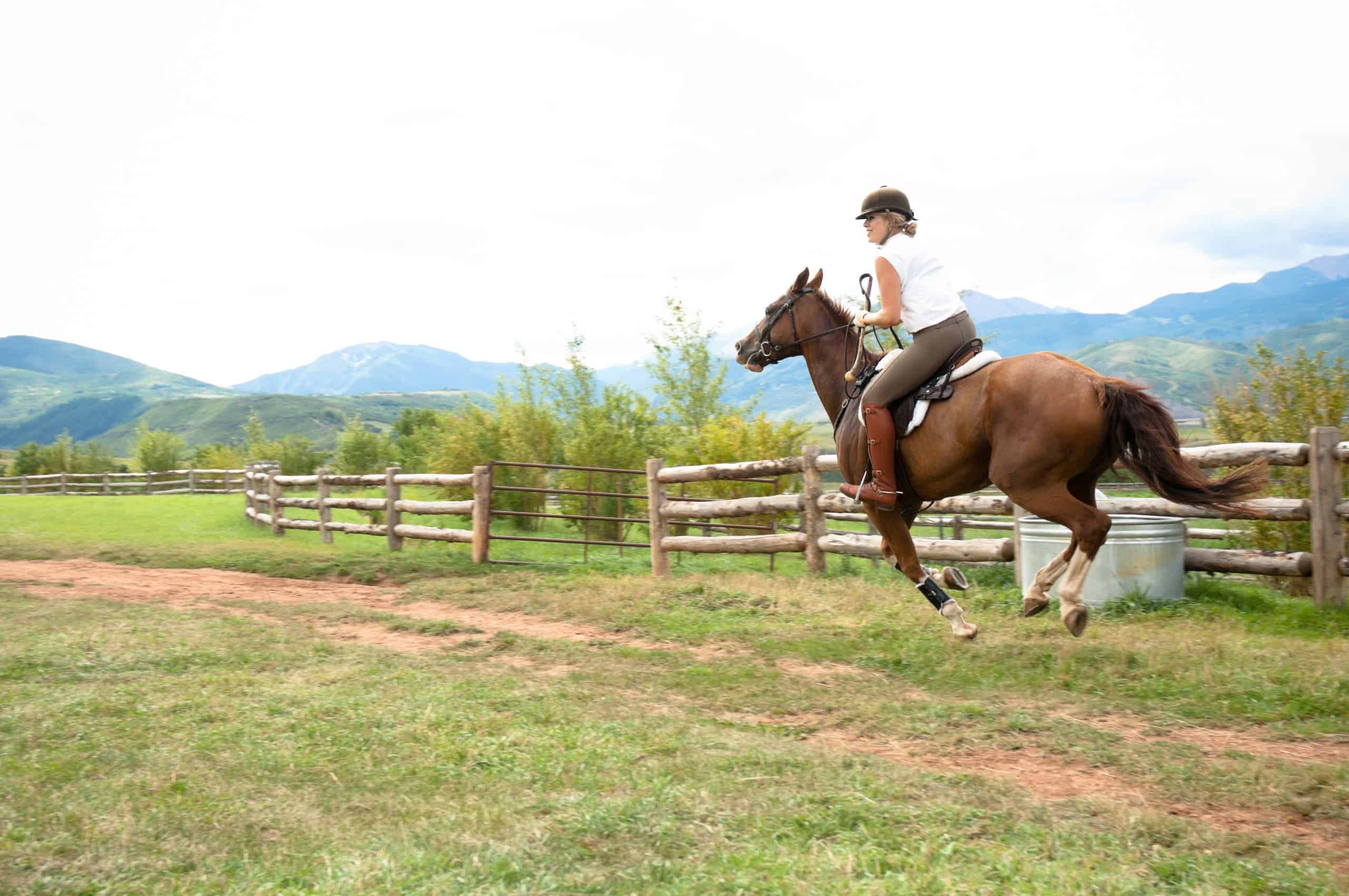 Horseback rider in a field
