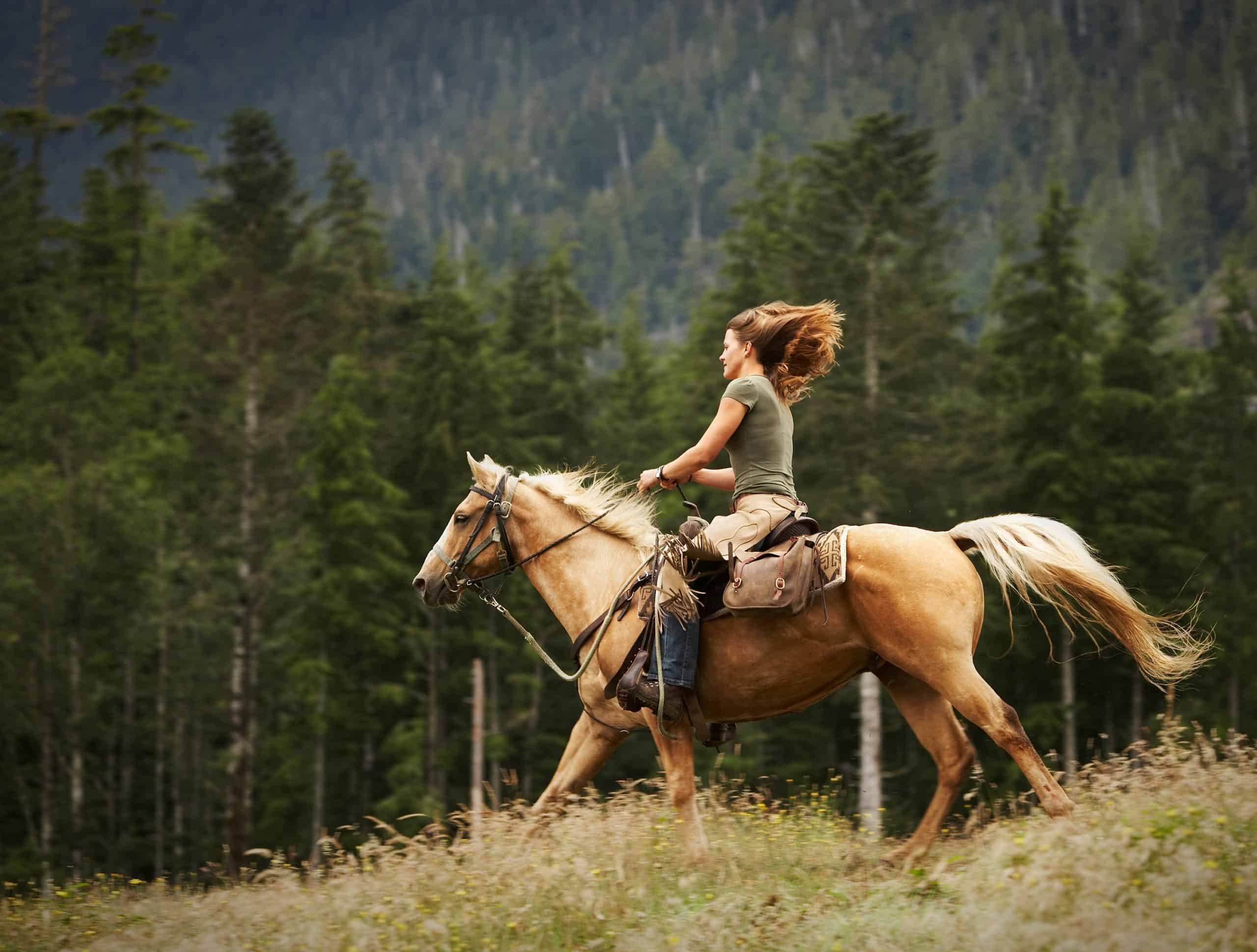 Charming horses this is the life. Люди катаются на лошадях в лесу. Верхом на лошади. Девушка скачет на лошади. Человек верхом на коне.