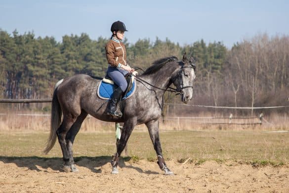 Horseback Riding Tips: 6 Ways To Stay Calm In The Saddle