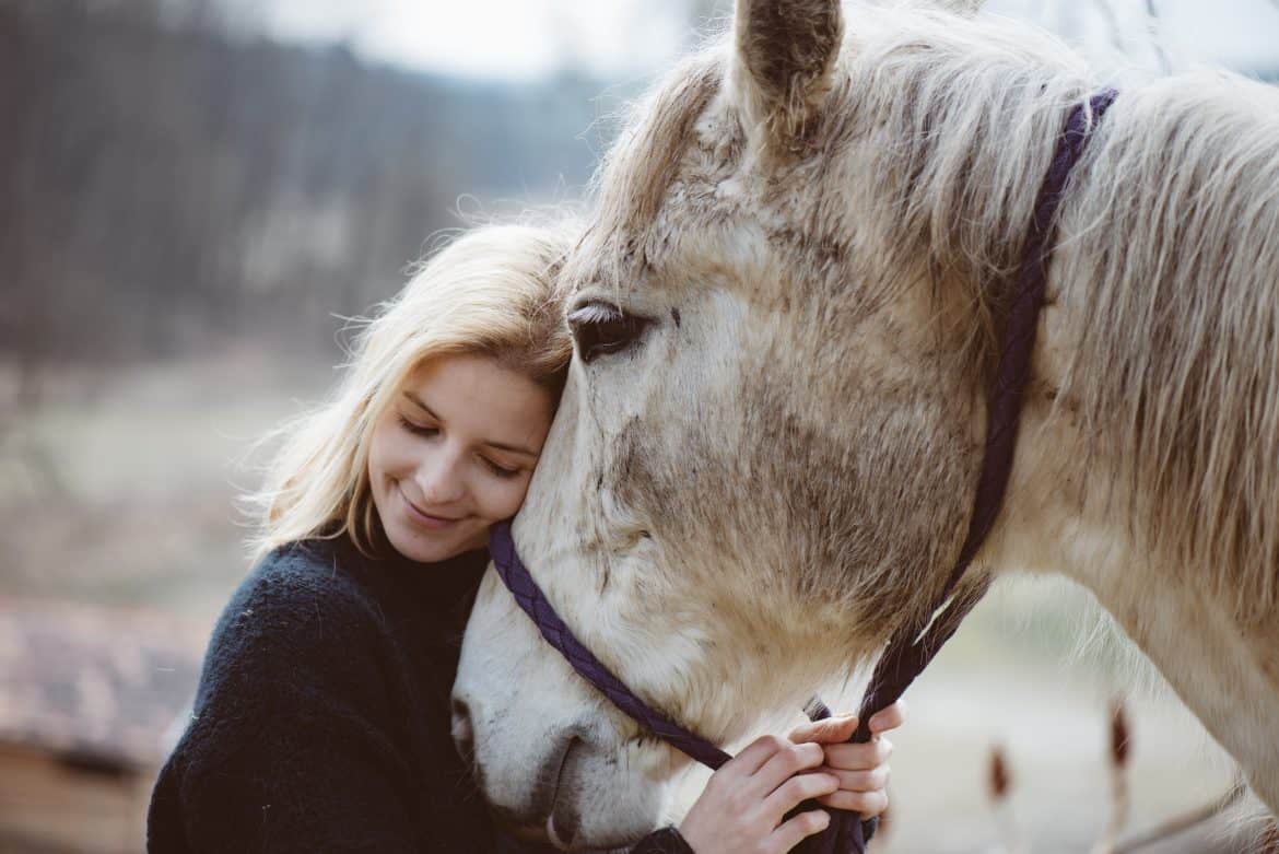 Tips For Better Communication With Your Horse