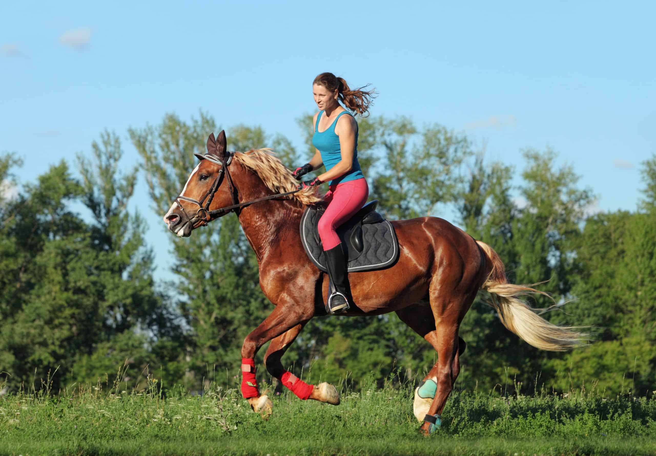 Groom girl on horseback riding through evening meadow