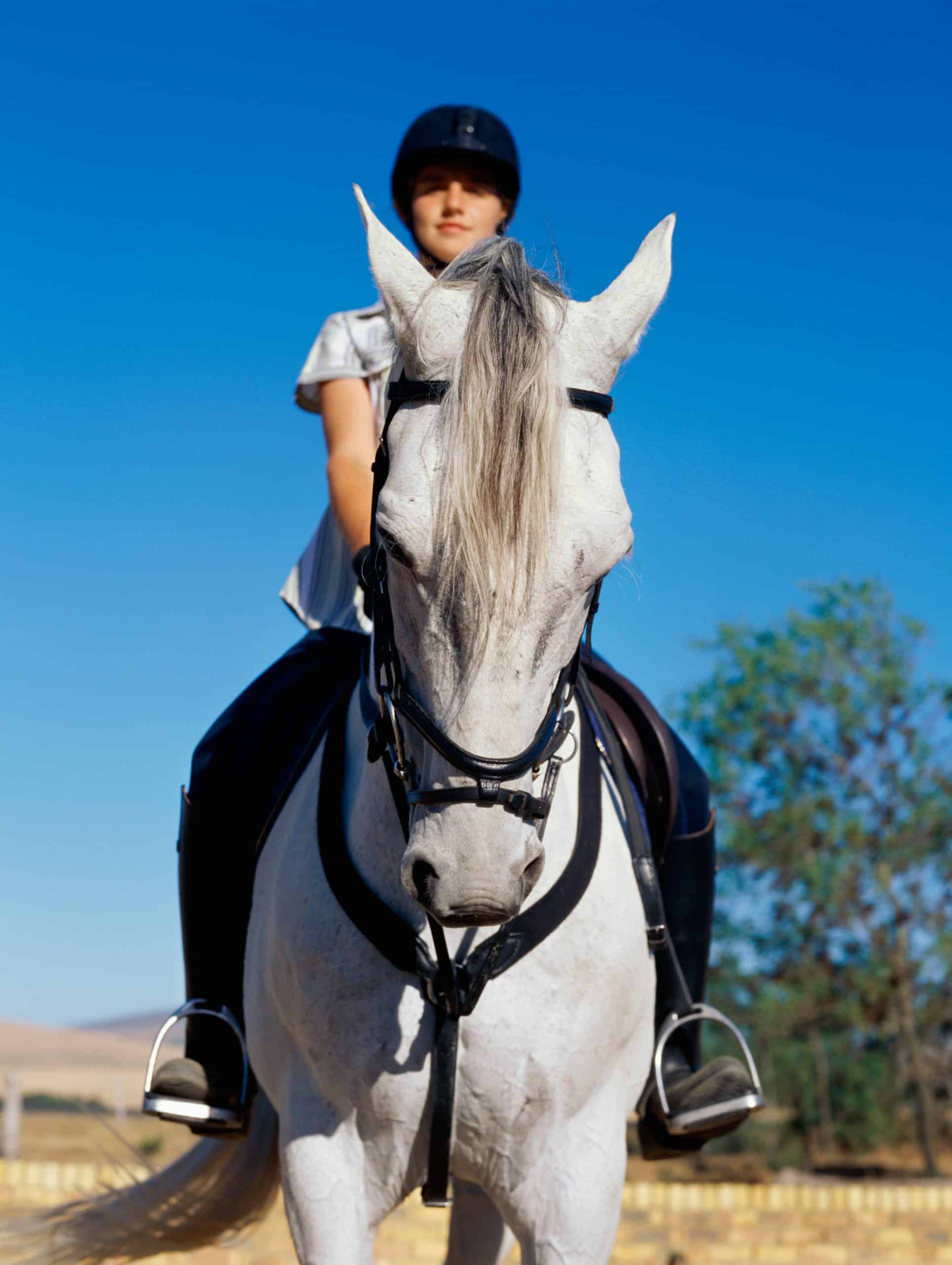 Low angle view of a girl riding a horse