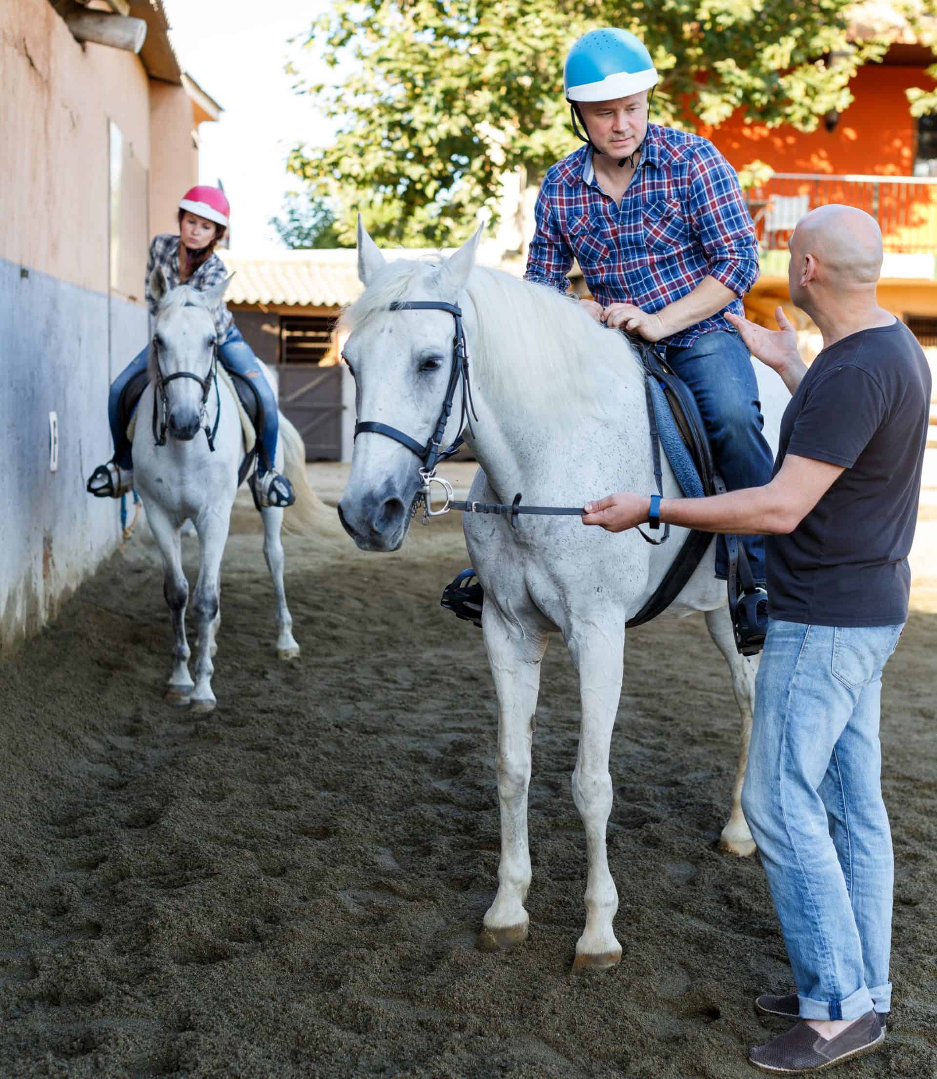 6 Tips For Finding A Great Horse Trainer