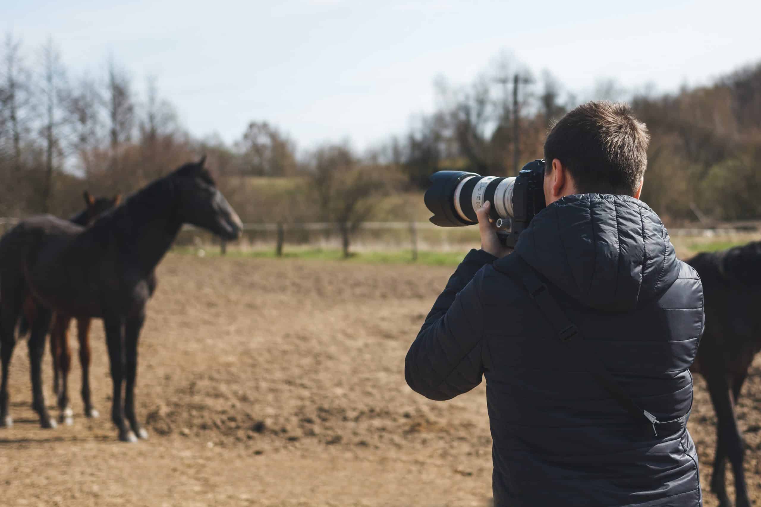 gift ideas for equestrians horse photographer