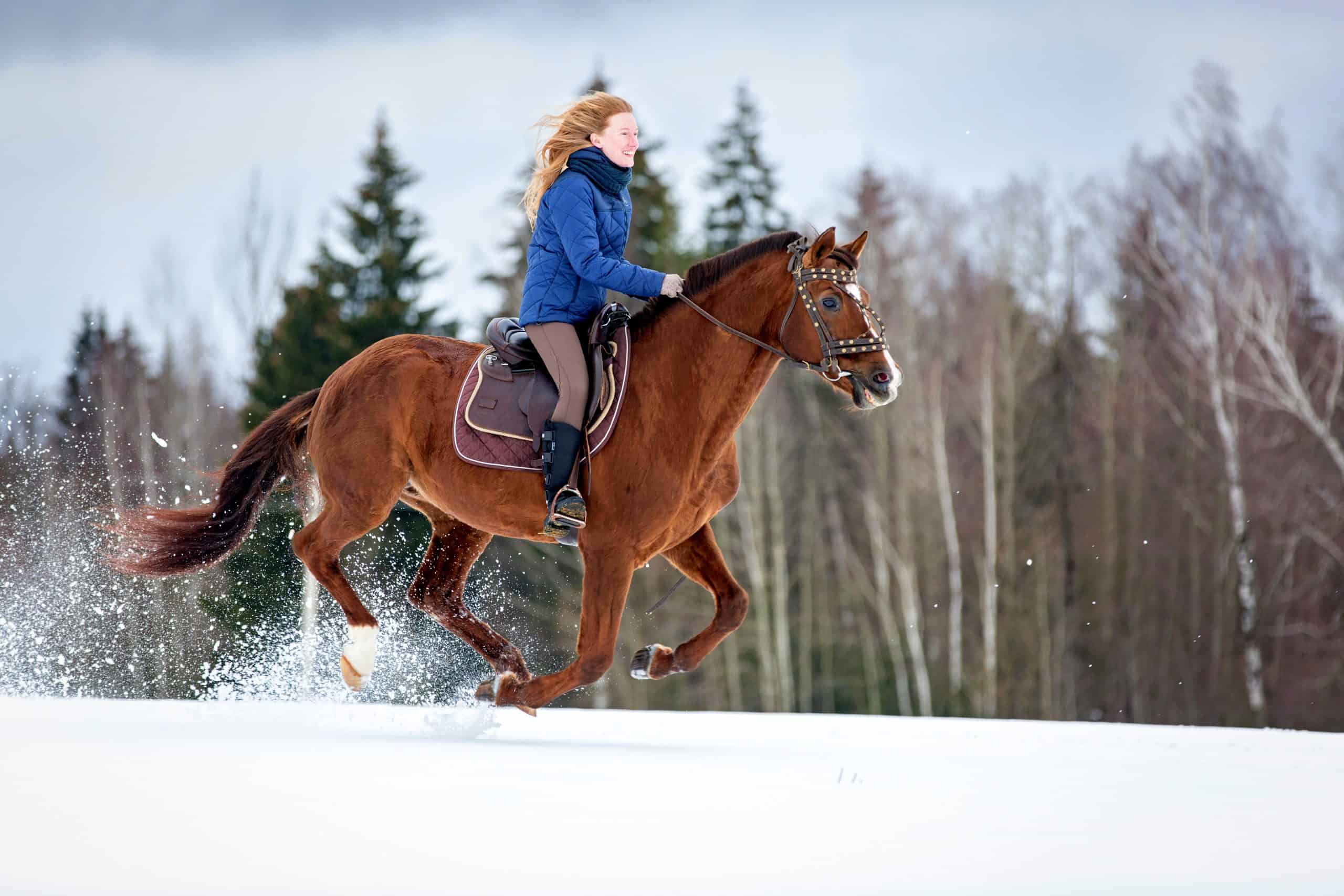 equestrian 