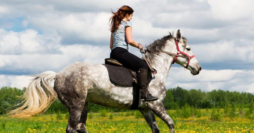 woman riding a horse