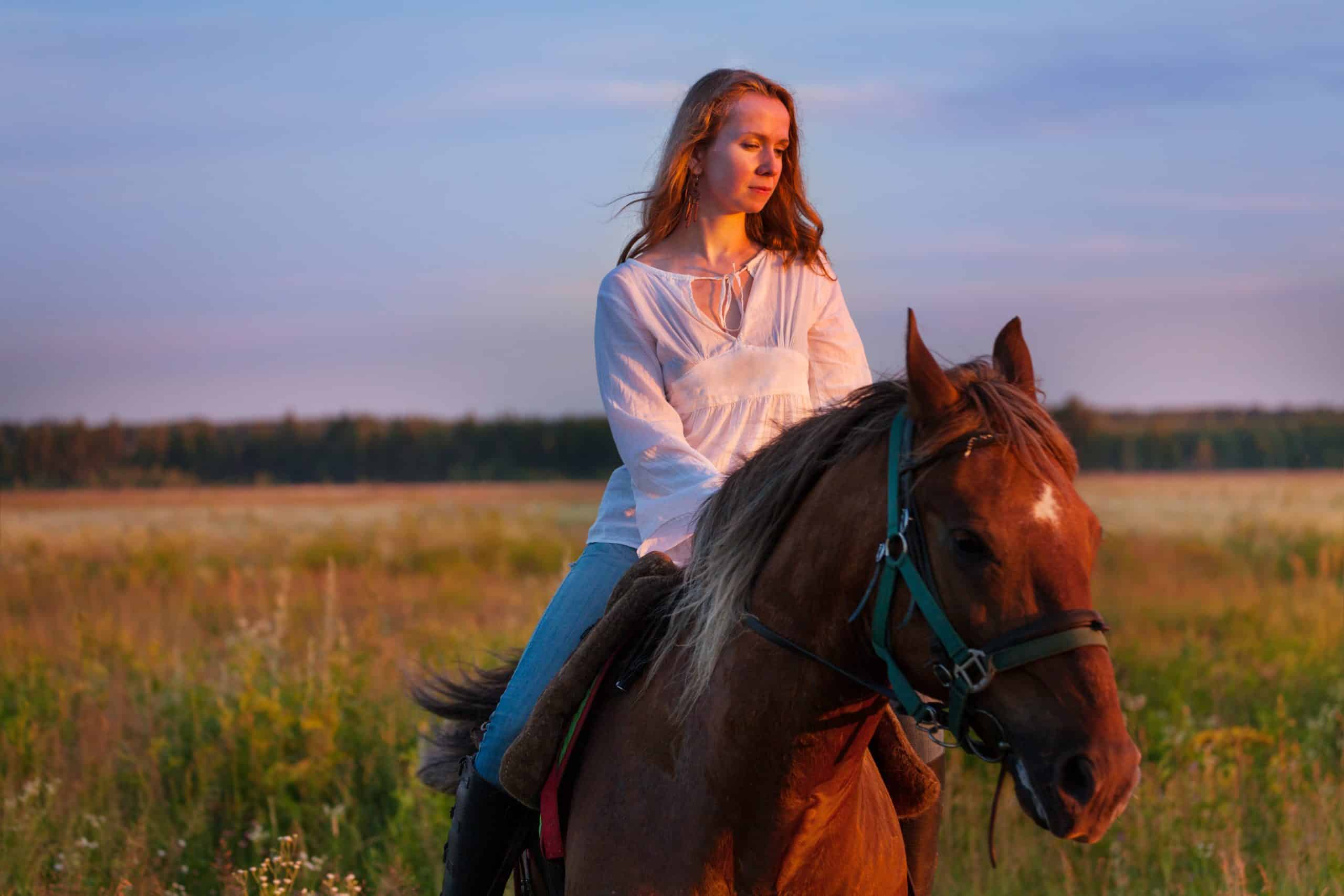 Portrait of beautiful female horseback rider with bay horse in a field at sunset
