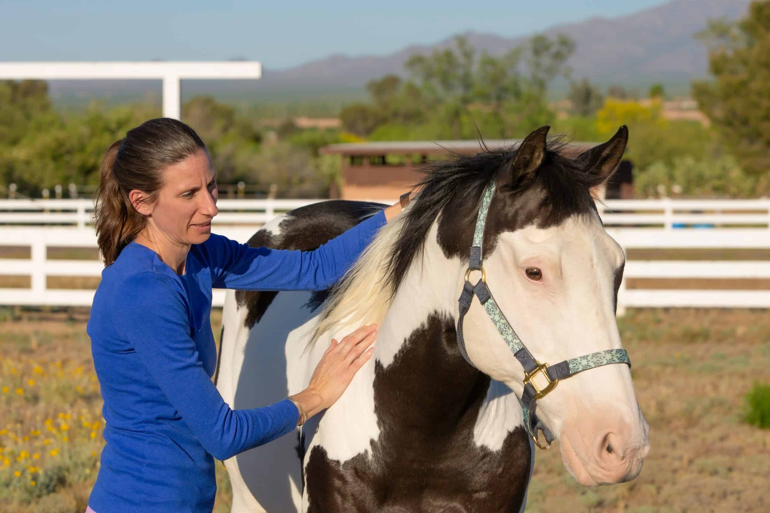 Woman performs equine myofascial release technique on a shoulder