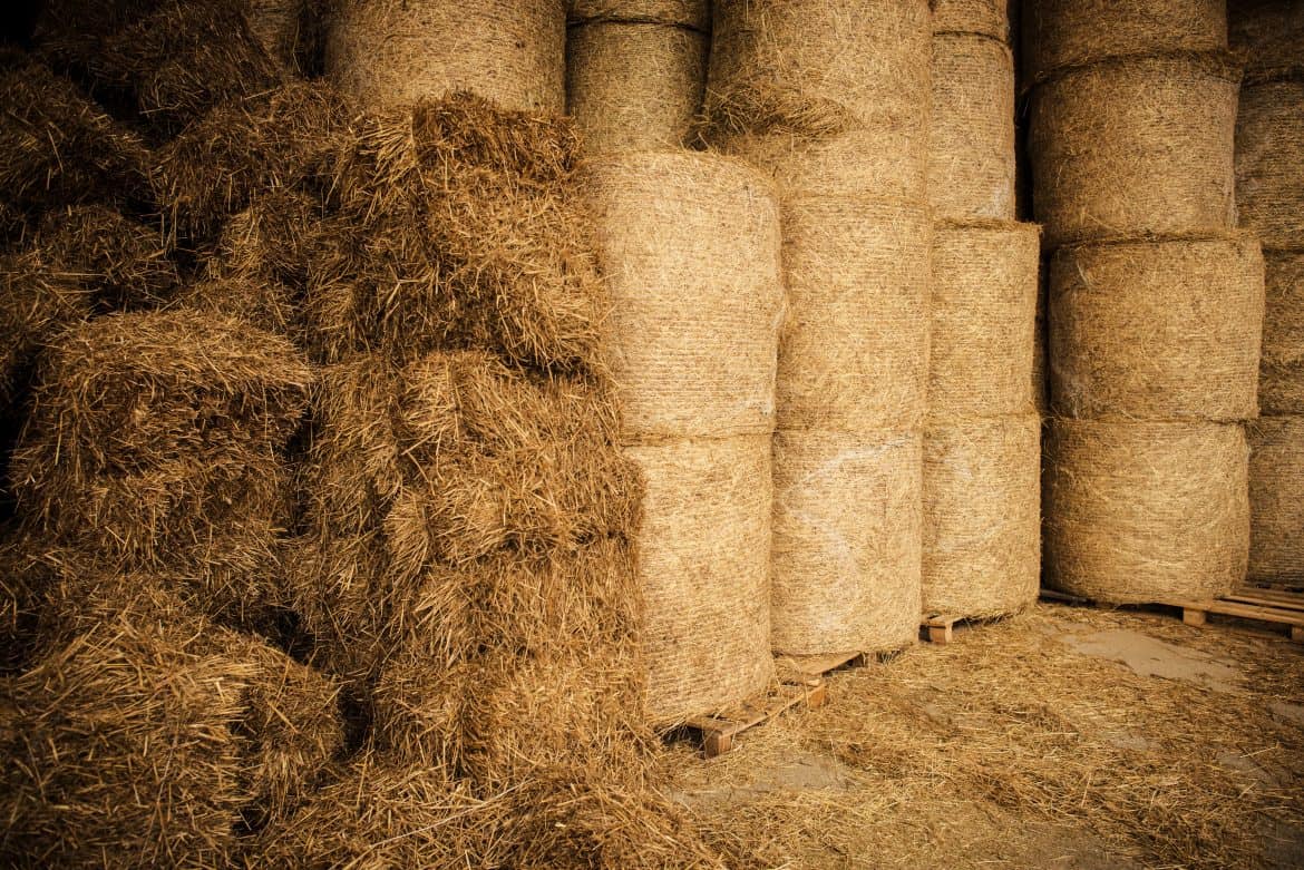 7 Rules For Proper Hay Storage