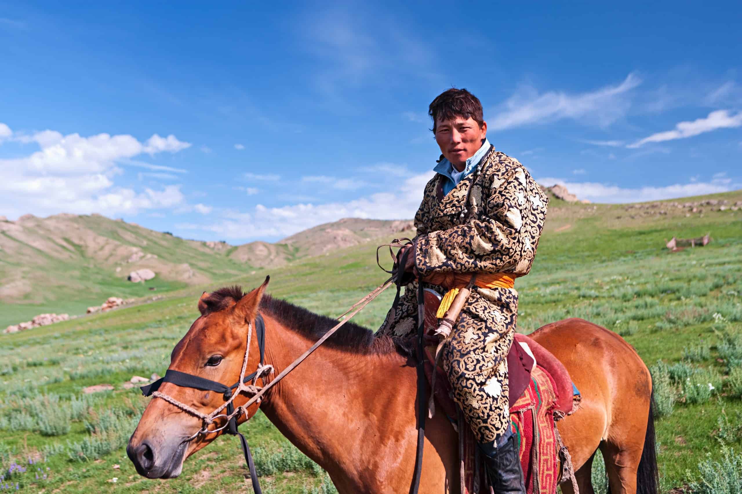 Mongolian horseback rider, meadow in background