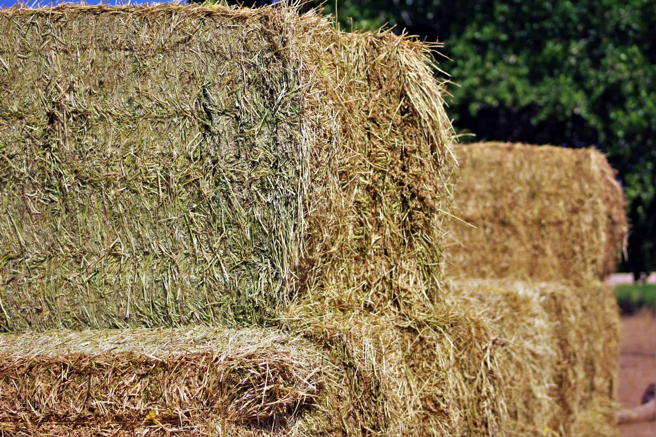 Keep it Tight; Store Hay Right