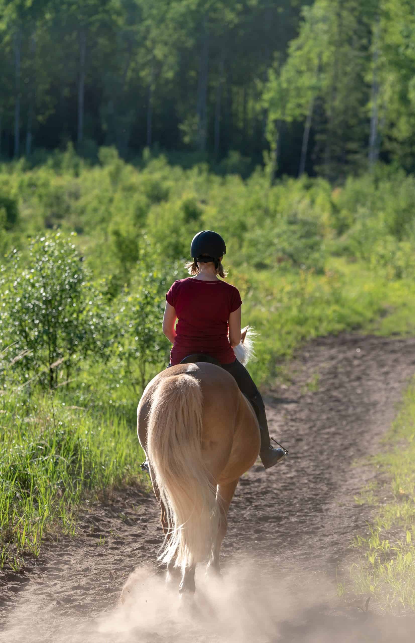 sitting trot Woman horseback riding in forest