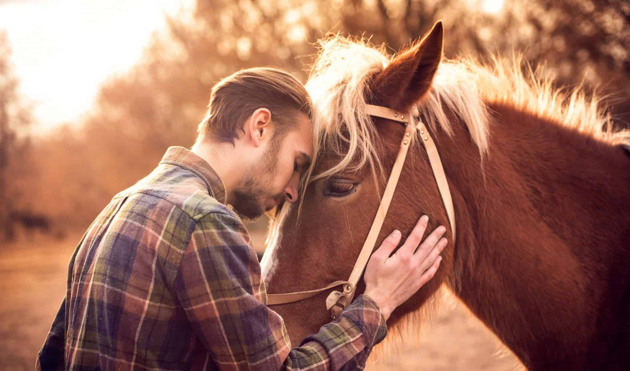 Парень обнимает лошадь