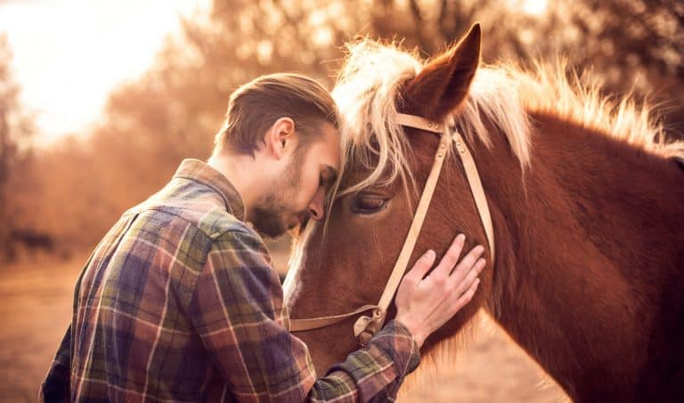 how your horse shows you love