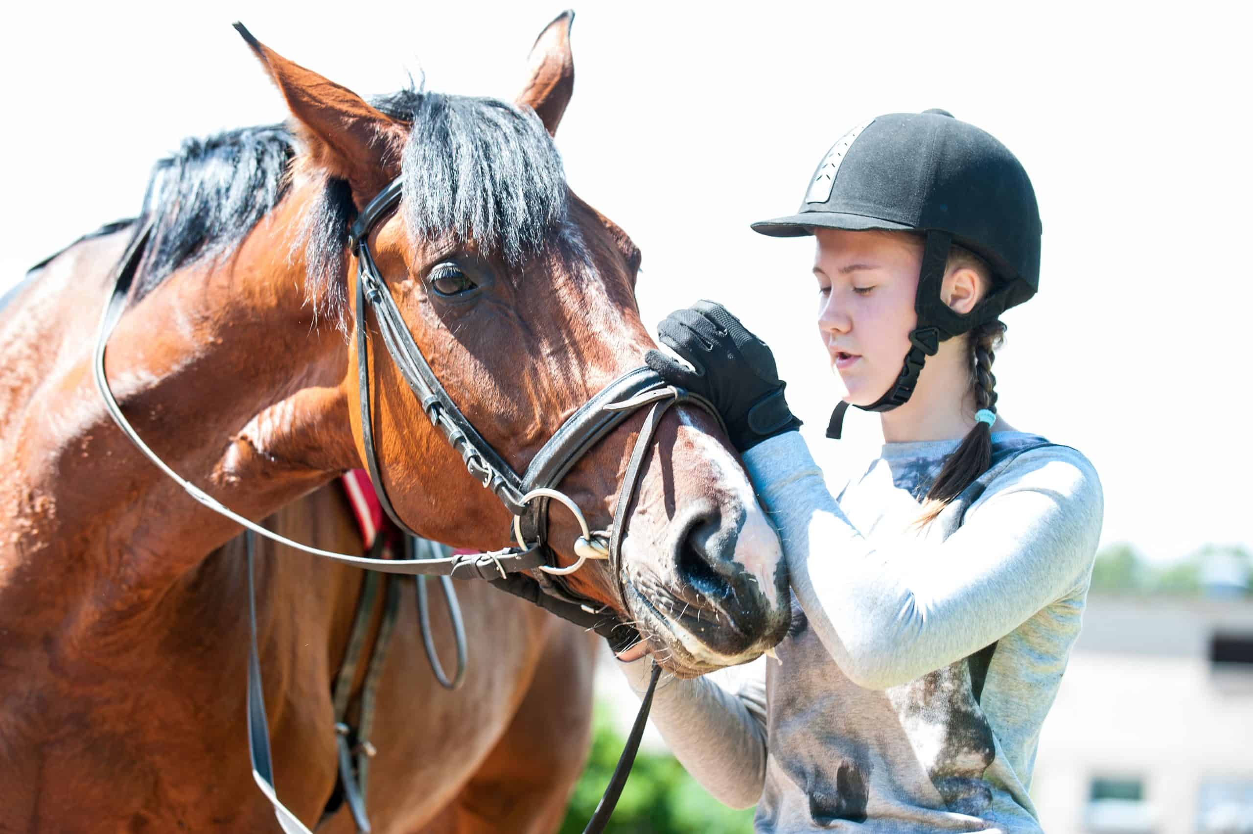 Young teenage girl owner harnessing bay stallion for sport training. Colored horizontal outdoors image.