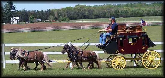 These 8 Miniature Horse Carts Are Totally Adorable 