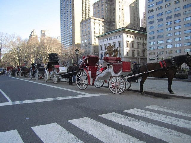 New York City Decides Fate Of Central Park Carriage Rides